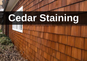 cedar staining by CC's Painting Services