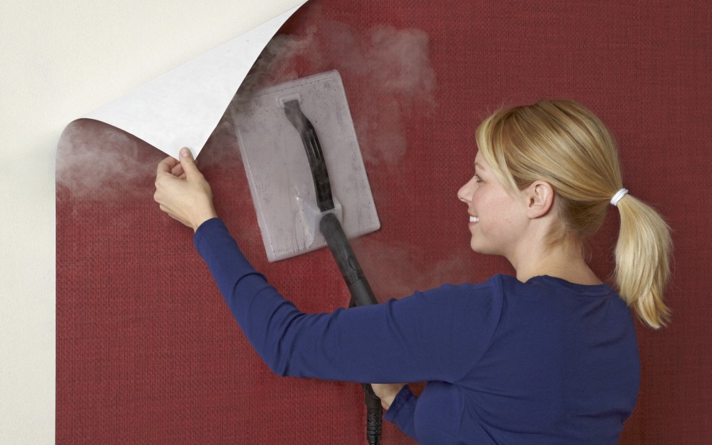 wallpaperremovalsteamer1920x1200 CC'S Painting