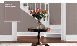poised taupe color of the year by Sherwin Williams